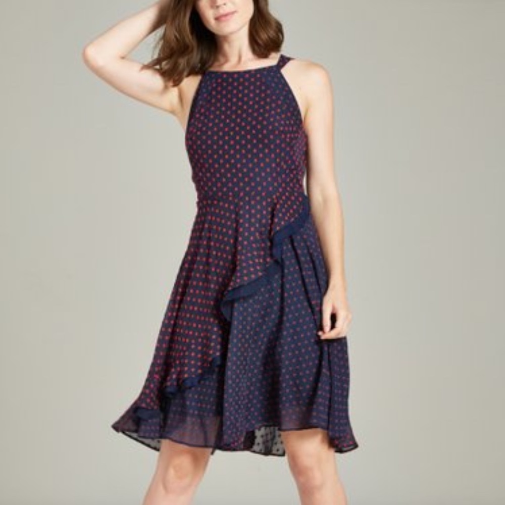Eva Franco Maryanne Dress - Navy/Red Dot